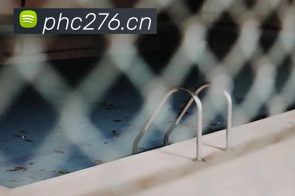 星空入口网址服务体系